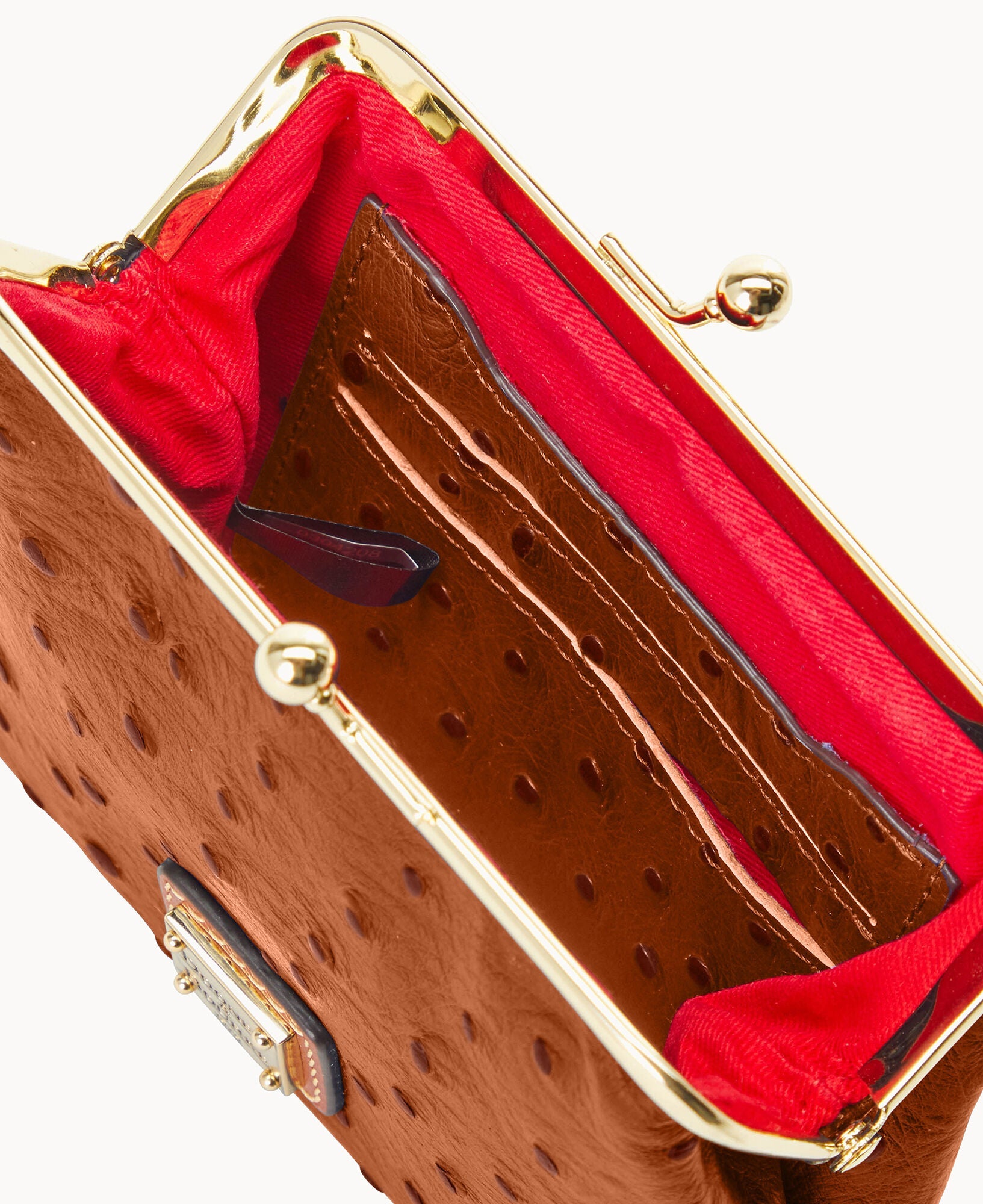 Ostrich Large Framed Purse