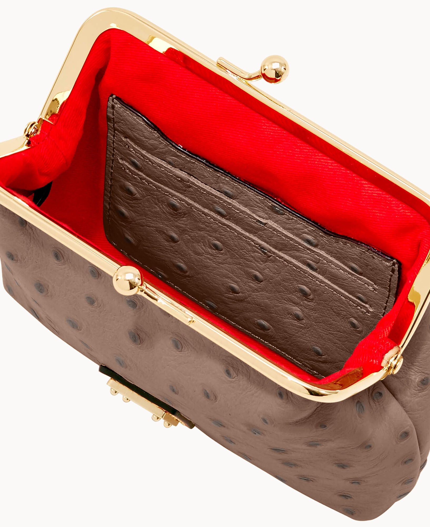 Ostrich Large Framed Purse