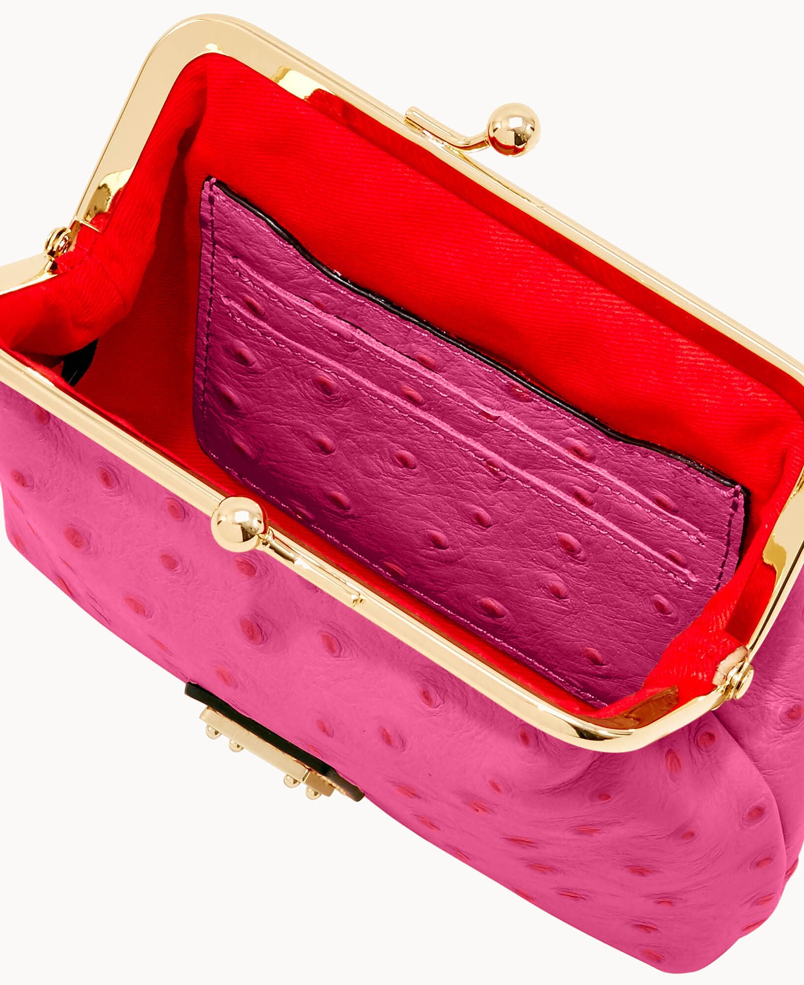 Ostrich Large Framed Purse